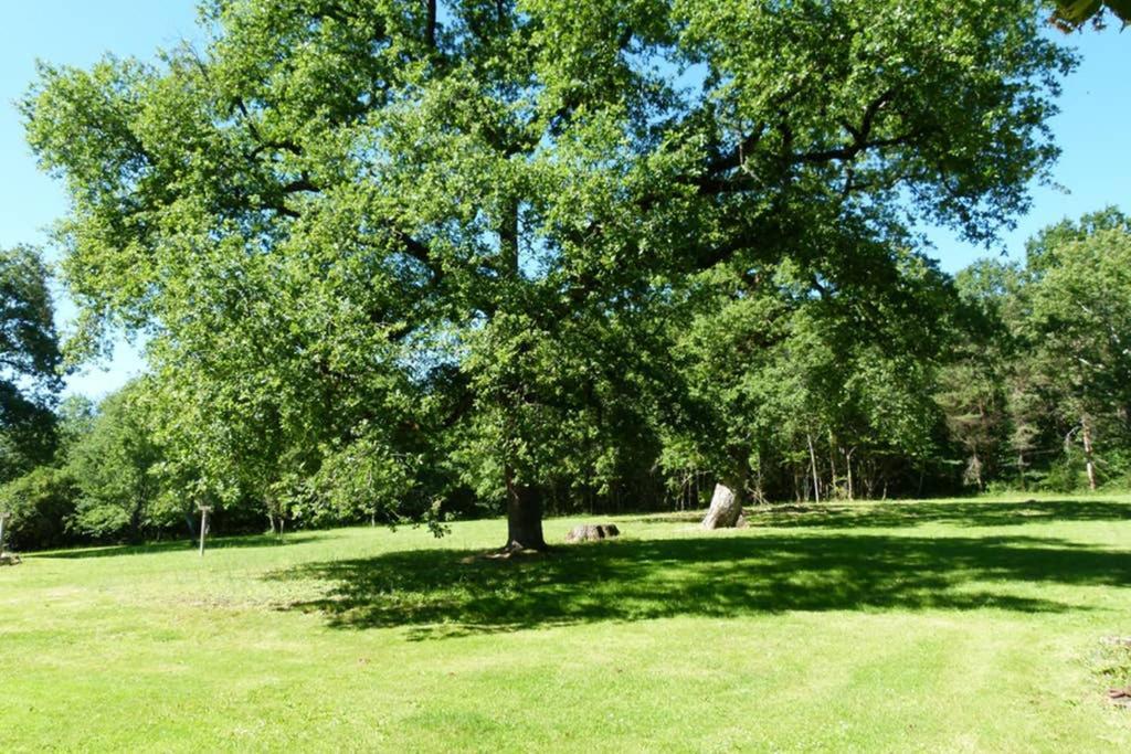 Gite En Brenne Les Chenes Merigny Exteriér fotografie