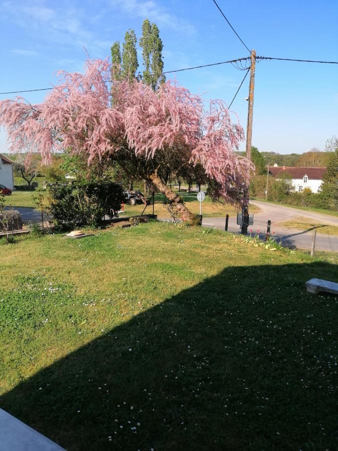 Gite En Brenne Les Chenes Merigny Exteriér fotografie